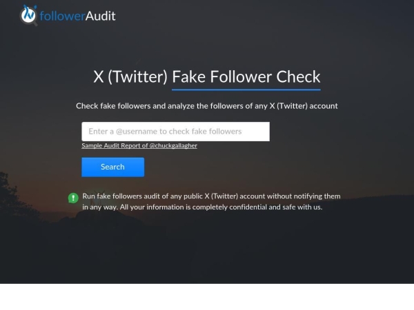 followeraudit.com