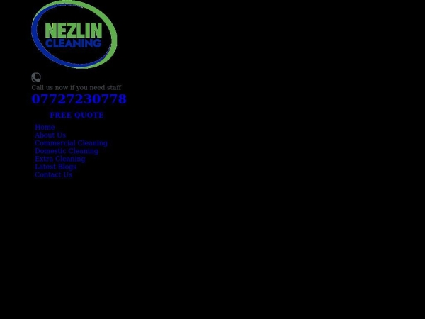 nezlin-cleaning.co.uk