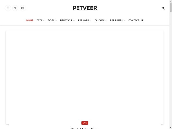 petveer.com