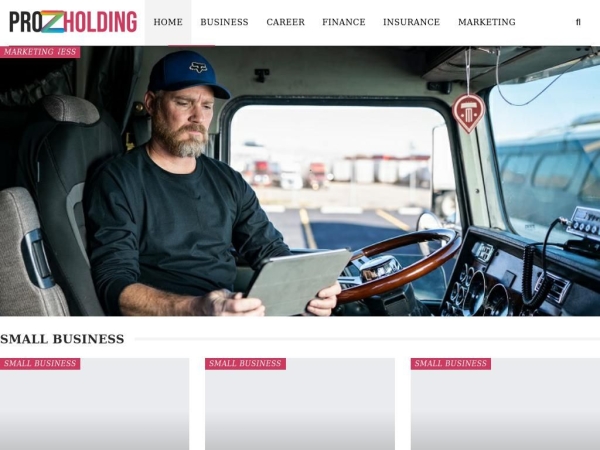 prozholding.com