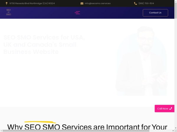 seosmo.services